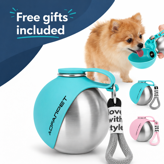 HydraPaws-Hydrate every walk